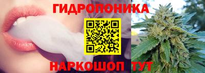 PSILOCYBIN Свободный