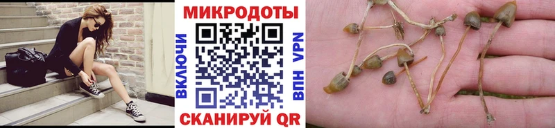 гидра как зайти  Стрежевой  Псилоцибиновые грибы ЛСД 