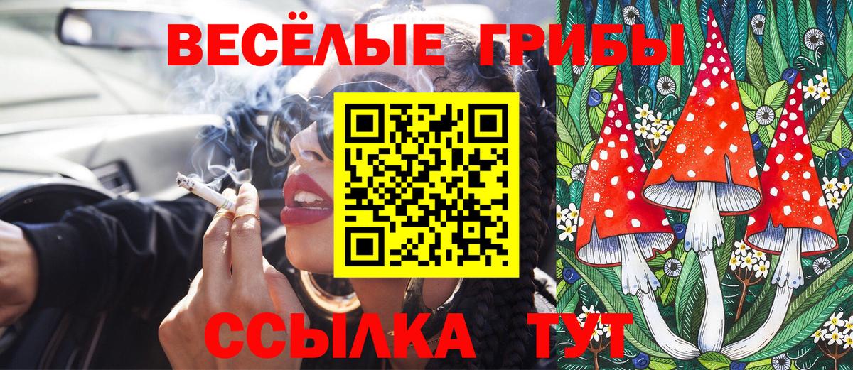 Псилоцибиновые грибы Psilocybine cubensis Стрежевой