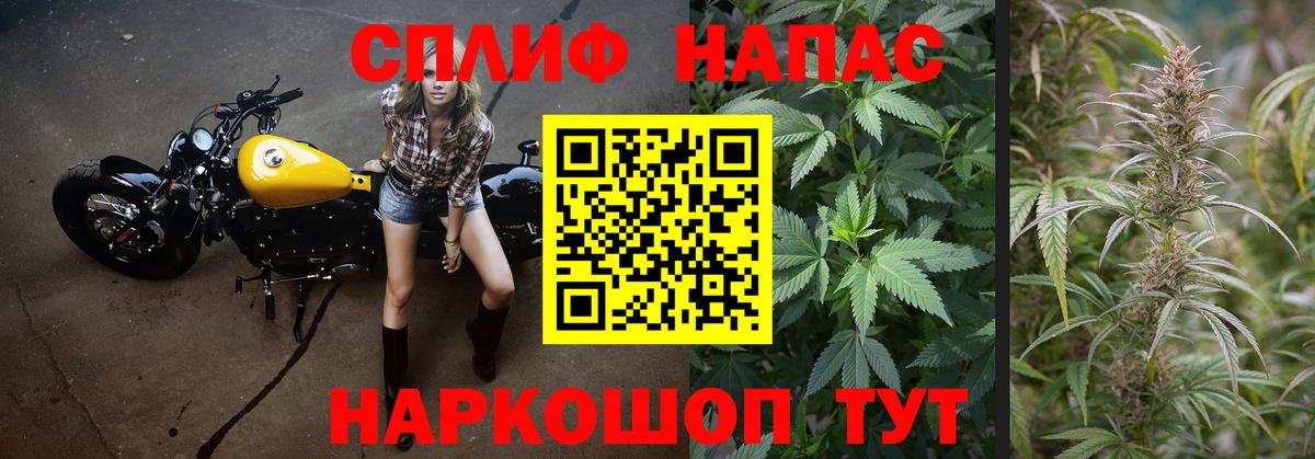 Канабис Bruce Banner  Канабис семена  Стрежевой  Вход с VPN  Конопля AK-47 